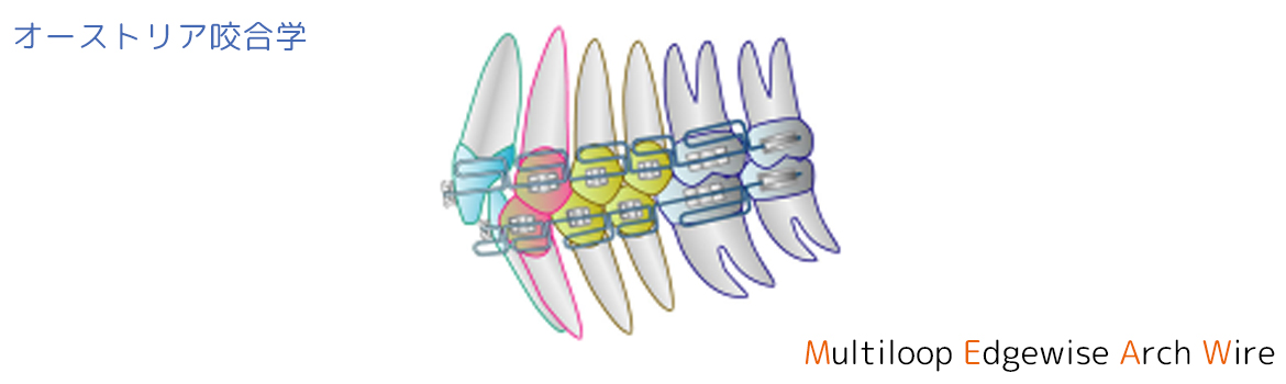 オーストリア咬合学