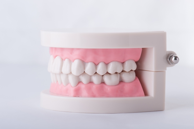 歯に使用する材質
