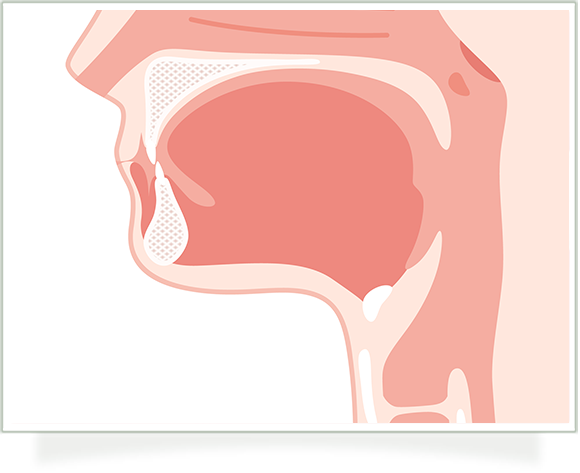 鼻腔・口腔の疾患予防